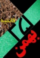 مردم چنارشاهيجان حوادث 25 بهمن را محكوم كردند