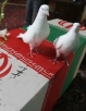 بزرگداشت شهید نصرالله شفیعی در شهر خشت با حضور  فرمانده کل نیرو دریای سپاه