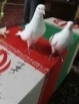 پيكر مطهر شهيد نيروي انتظامي فارس در كازرون تشييع شد + گزارش تصويري