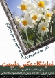 برگزاري اولين نمايشگاه عكس طبيعت در كازرون