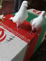 طیبی هم به جمع دوستان شهیدش پیوست