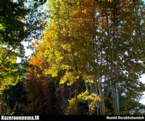 روستای فتح آباد