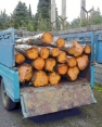 کشف یک ونیم تن چوب آلات جنگلي قاچاق در کازرون