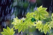 بارش 6میلی متری باران در کازرون