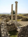 پاک سازی شهر تاریخی بیشاپور از علف های هرز
