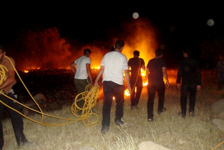 آتش سوزی مراتع منطقه جنگلی نودان توسط بسیجیان مهار شد