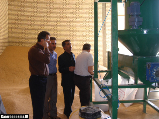 واحد تولید بذر گواهی شده ارقام مختلف گندم در شهرستان کازرون راه اندازی شد