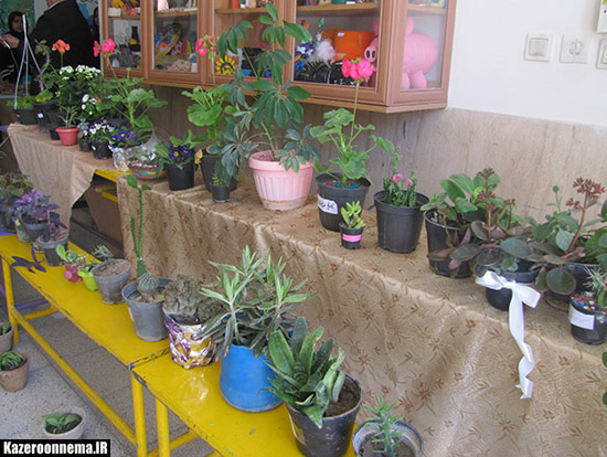 جشنواره غذای سالم و گل و گیاه در مدارس کازرون برگزار شد