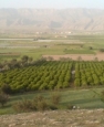 روستای گلستان، روستای سبز کازرون شد