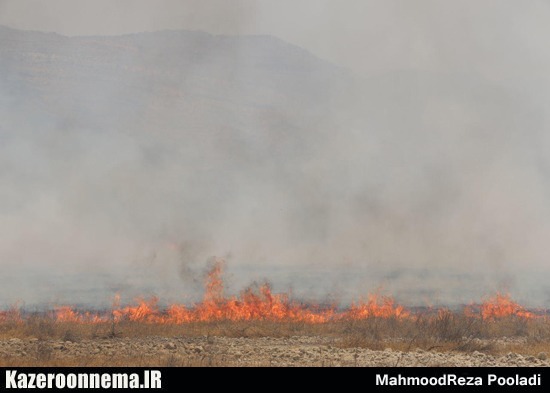 آتش در دامن هویت تاریخی و طبیعی کازرون