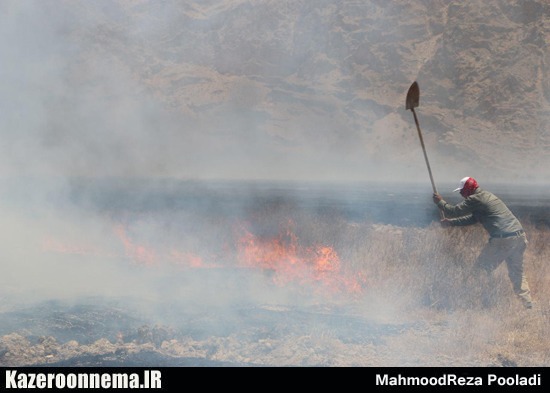 آتش در دامن هویت تاریخی و طبیعی کازرون