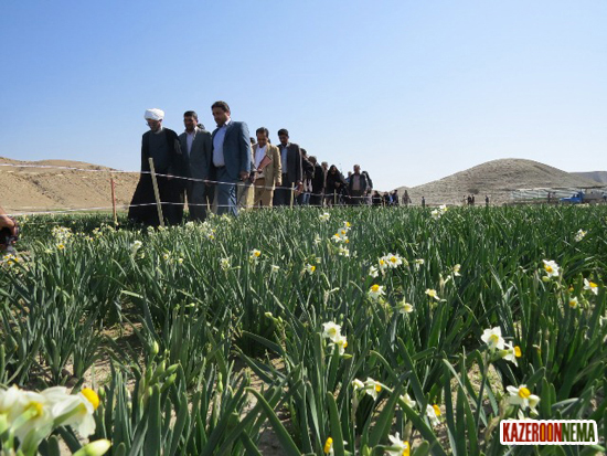 احداث مسیر گردشگری در نرگس زاربخش بالاده شهرستان کازرون