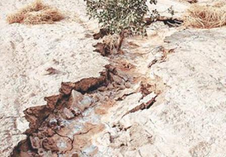 چشمه تاریخی ساسان کازرون خشک شد