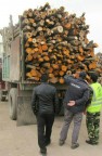 کشف چوب آلات جنگلی قاچاق در کازرون