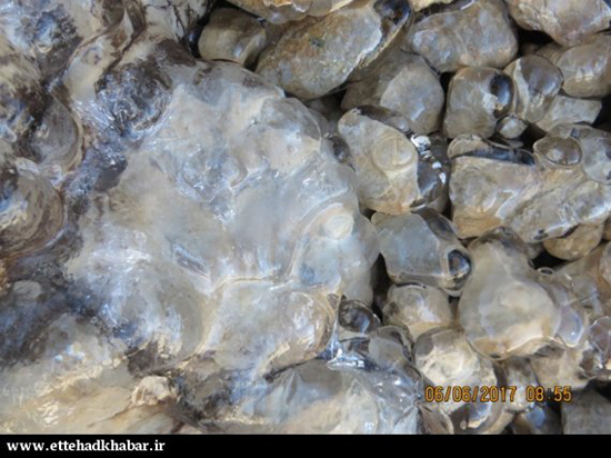 اگر آن شب خدا مرا برای کمک نفرستاده بود، 7 کوهنورد کازرونی منجمد می شدند