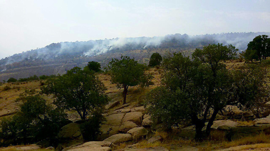 کاش غصه‌مان فقط آتش سوزی بود