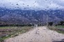 گزارش تحلیلی از بارندگی های اخیر در کازرون