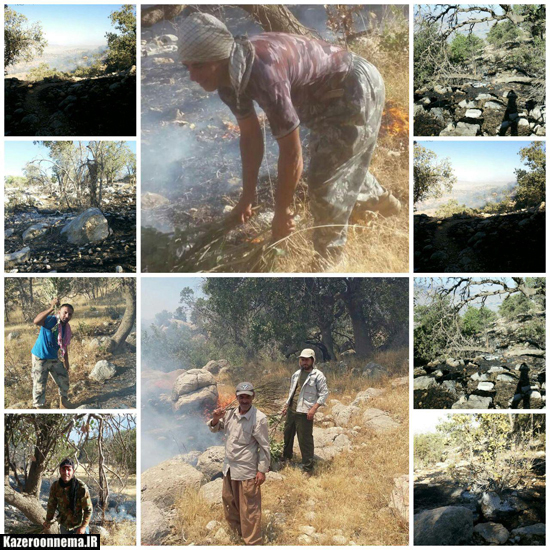 یک دقیقه سکوت به خاطر سوختن  درختان بلوط  کمربند سبز فارس