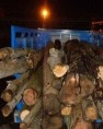 پنج تن چوب قاچاق در کازرون توقیف شد