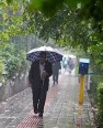 بارش 5.7 میلیمتری باران در شهرستان کازرون