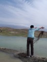 انتقال خاک از بستر تالاب پریشان به آبگیر یادگار پریشان (بیدزرد)