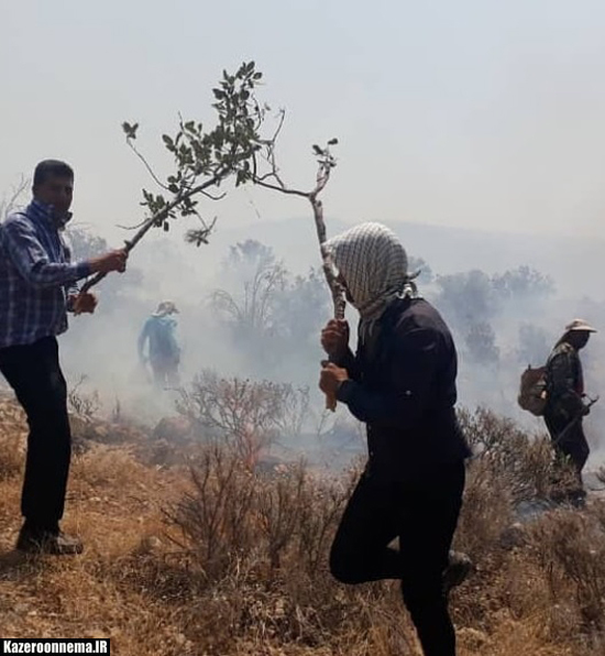 شروع مجدد آتش سوزی جنگل در منطقه تنگ خون/ نیاز مبرم امدادگران به آب معدنی و آذوقه