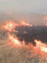 آتش 3 هکتار از مراتع کازرون را سوزاند