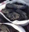 کشف یک باب کوره زغالی غیر مجاز در منطقه دریس کازرون