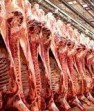 تولید بیش از 2 هزار تن گوشت قرمز در شهرستان کازرون