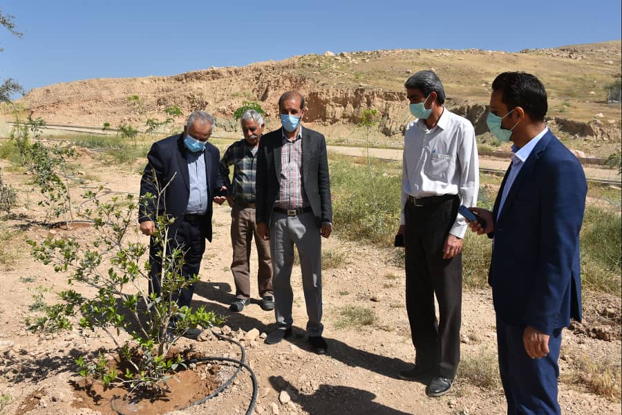 لازم است با مدیریت بهینه فضای سبز، دانشگاه سلمان فارسی را زیبنده شهر سبز کازرون، به گل و گیاه آراسته کنیم.
