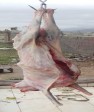 کشف و ضبط گوشت غیرمجاز از یک قصابی در اطراف کازرون