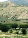 کودکان کازرونی رکورد مسابقه رنگ آمیزی روز جهانی تالاب ها را شکستند
