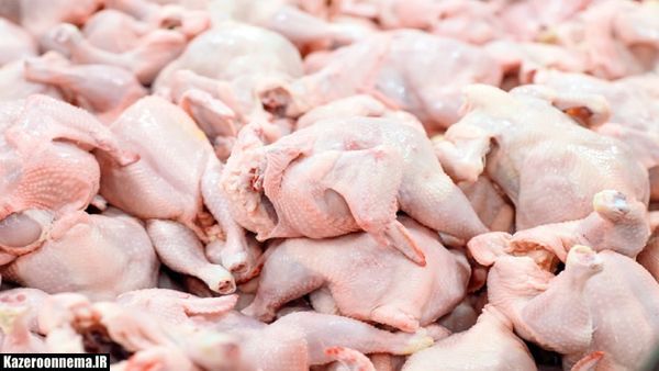 وضعیت تولید گوشت مرغ در شهرستان کازرون