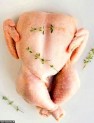 وضعیت تولید گوشت مرغ در شهرستان کازرون