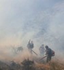آتش سوزی در منطقه حفاظت شده دشت ارژن مهار شد