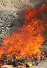 ۲ نفر در تصادف هنگام عملیات مهار آتش در کازرون مصدوم شدند