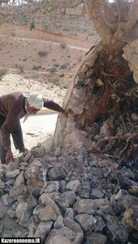 عکس: اداره میراث فرهنگی,صنایع دستی و گردشگری شهرستان کازرون