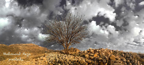 نمایی از تاکستان های دوان در یک عصر زیبای زمستانی در حالیکه چنب و جوش ابرها بر فراز کوهستان بسیار تماشایی ست (زمینه آبی آسمان حذف شده است).....طبیعت زیبای کازرون روستای دوان