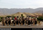 رژه روز ارتش در کازرون
