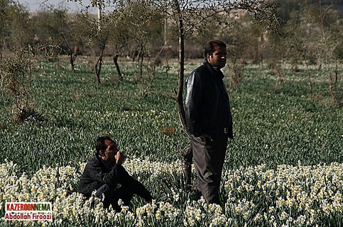 کمک به اجرای دومین ارکستر 